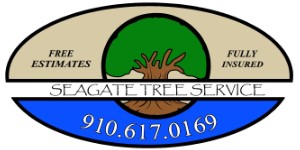 Seagate Tree Service